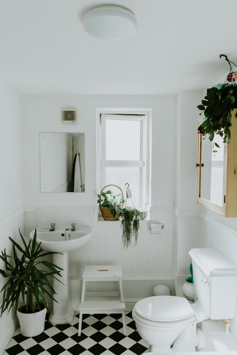 トイレ掃除の開運効果は?観葉植物やカラーなどトイレ風水を実践！